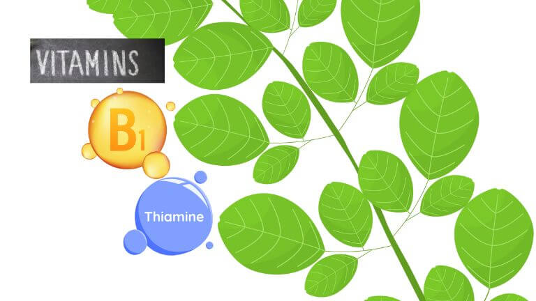 Vitamin B1 (Thiamine)