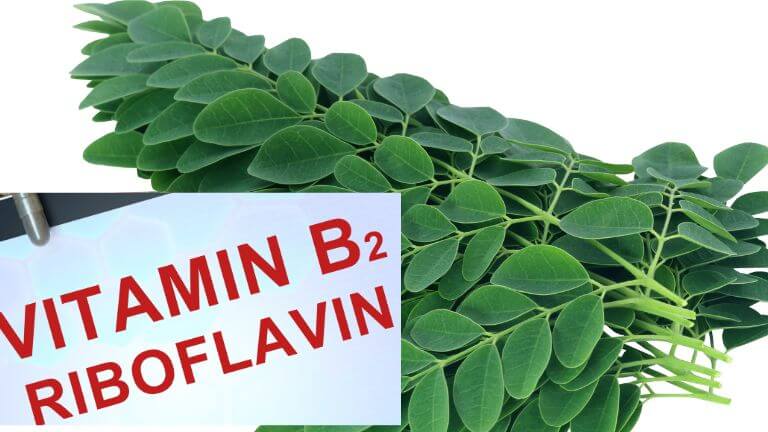 Vitamin B2 (Riboflavin)