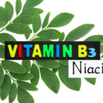 Vitamin B3 (Niacin)