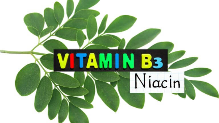 Vitamin B3 (Niacin)